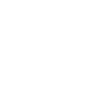 Technology, AI & Digital Transformation